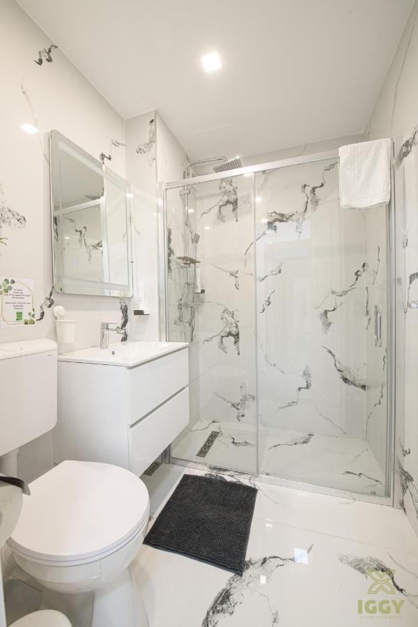 Iggy Luxury Central Apartment Hunedoara Esterno foto